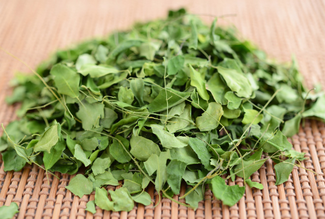 ã¢ãªã³ã¬ãå¹è½ì ëí ì´ë¯¸ì§ ê²ìê²°ê³¼