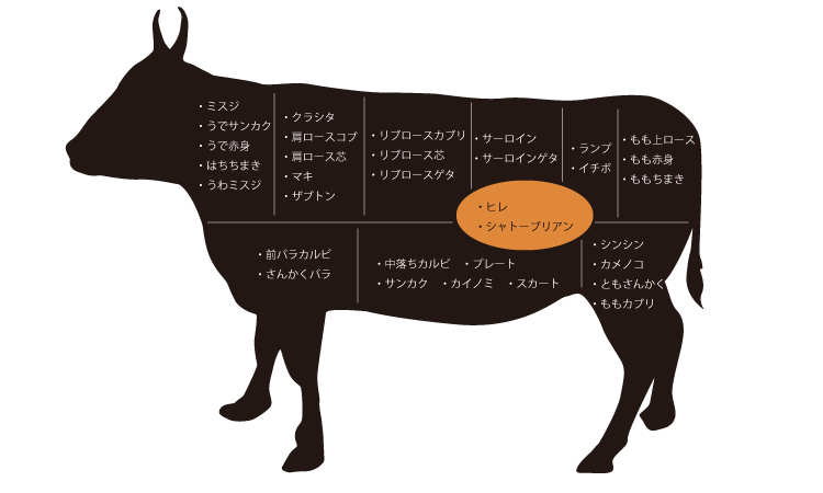 ã·ã£ãã¼ããªã¢ã³ é¨ä½ì ëí ì´ë¯¸ì§ ê²ìê²°ê³¼