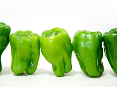 ãã¼ãã³ì ëí ì´ë¯¸ì§ ê²ìê²°ê³¼