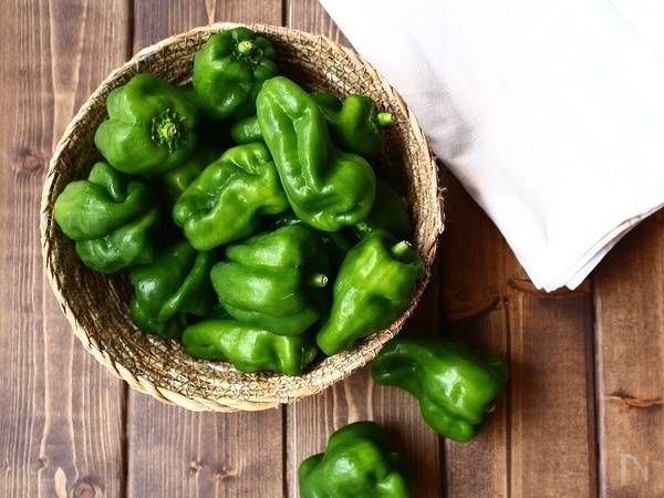 ç¡éãã¼ãã³ãã¬ã·ãì ëí ì´ë¯¸ì§ ê²ìê²°ê³¼