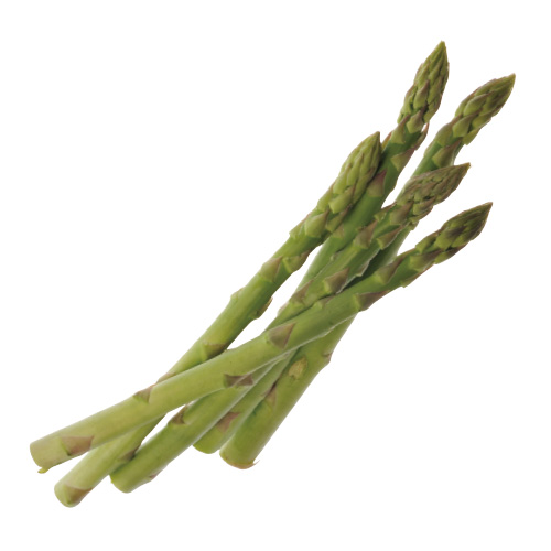 ã¢ã¹ãã©ì ëí ì´ë¯¸ì§ ê²ìê²°ê³¼