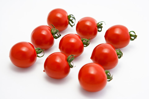 ãããããì ëí ì´ë¯¸ì§ ê²ìê²°ê³¼