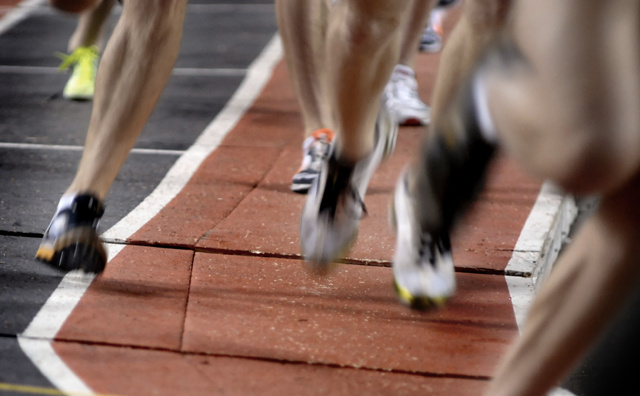 ç¬éçç¼ì ëí ì´ë¯¸ì§ ê²ìê²°ê³¼