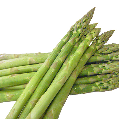 ã¢ã¹ãã©ì ëí ì´ë¯¸ì§ ê²ìê²°ê³¼