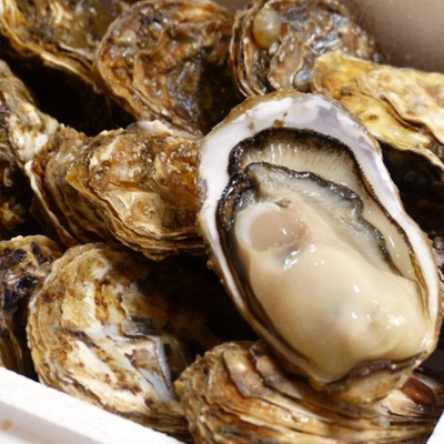 ç¡è £ì ëí ì´ë¯¸ì§ ê²ìê²°ê³¼