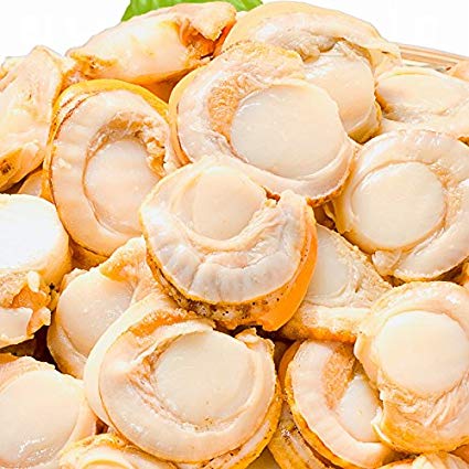 ãã¿ãì ëí ì´ë¯¸ì§ ê²ìê²°ê³¼