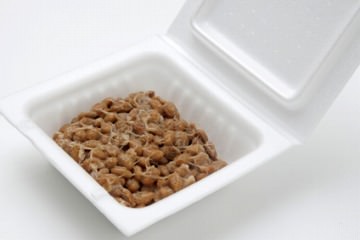 ç´è±ì ëí ì´ë¯¸ì§ ê²ìê²°ê³¼