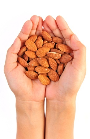 ãã¤ã¨ãããã¢ã¼ã¢ã³ãì ëí ì´ë¯¸ì§ ê²ìê²°ê³¼