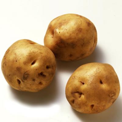 ããì ëí ì´ë¯¸ì§ ê²ìê²°ê³¼