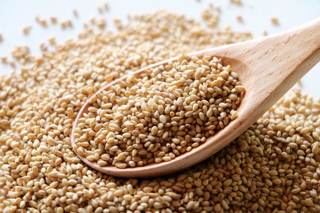 ãã¾ì ëí ì´ë¯¸ì§ ê²ìê²°ê³¼