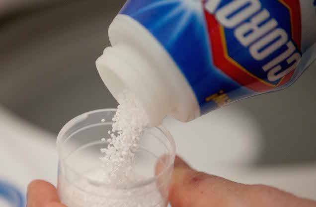 bleach-killing-mosquito-larvae