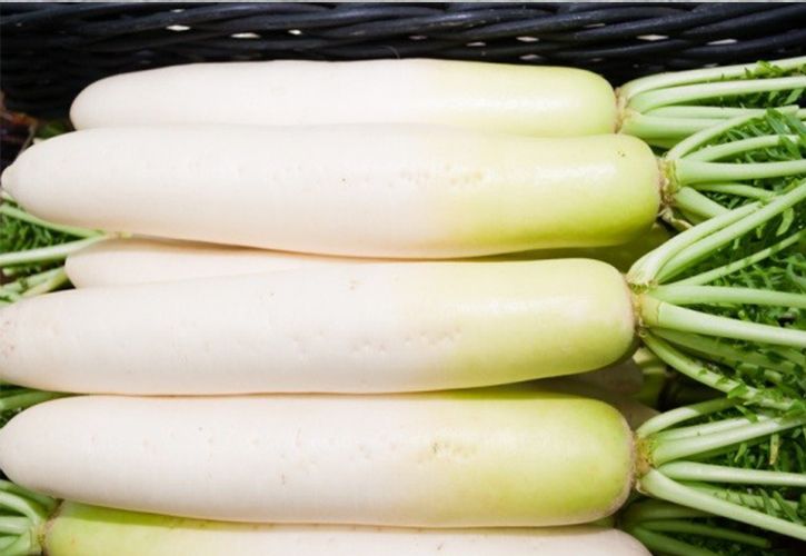 å¤§æ ¹ì ëí ì´ë¯¸ì§ ê²ìê²°ê³¼