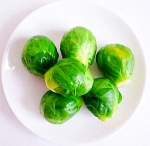 è½ã­ã£ããì ëí ì´ë¯¸ì§ ê²ìê²°ê³¼