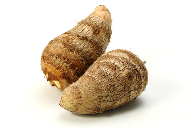 éèì ëí ì´ë¯¸ì§ ê²ìê²°ê³¼