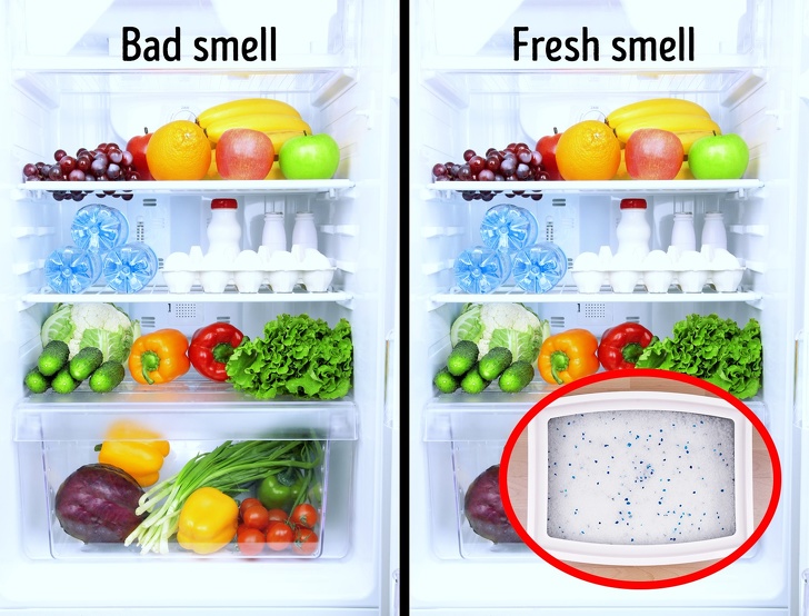 Smell fresh. Наполнитель холодильник. Fridge Fresh for a Fresh smelling Fridge.