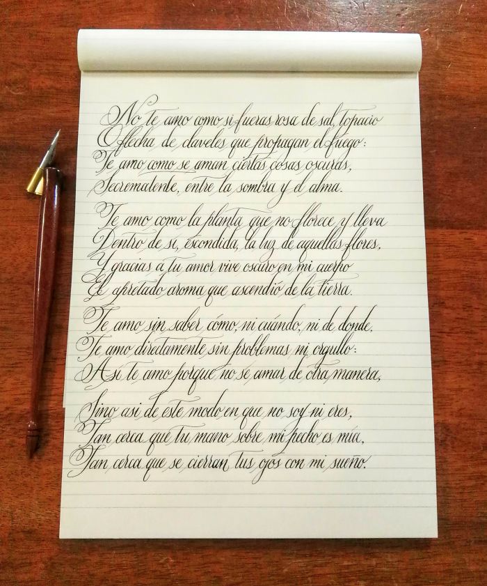 Practising Some Copperplate - Pablo Neruda