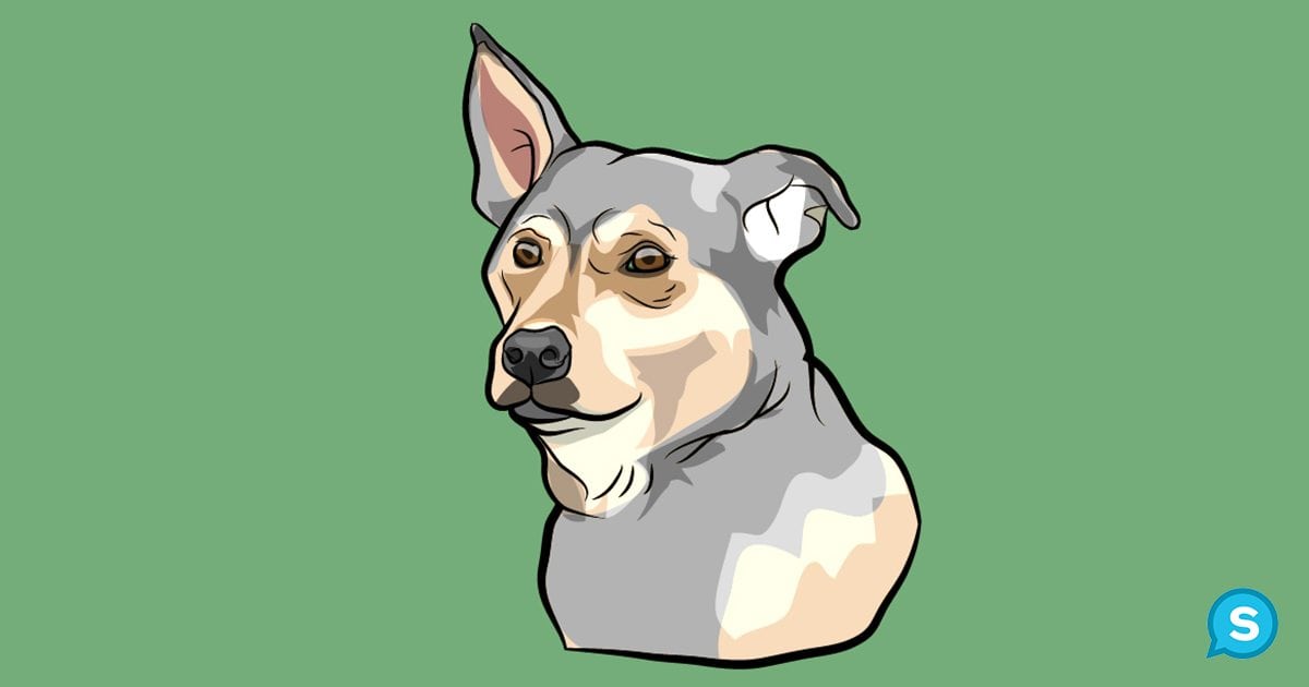 ears