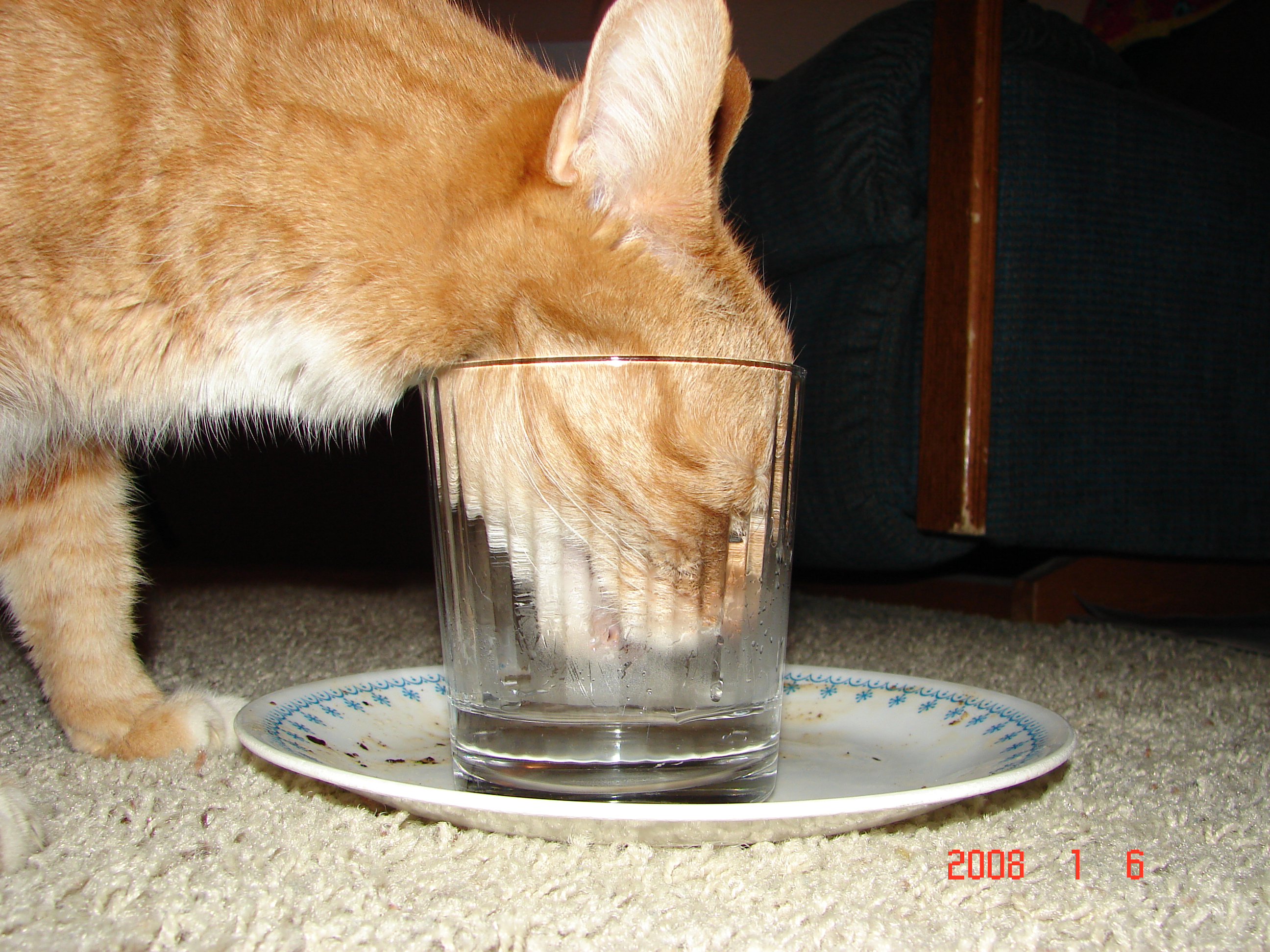 Hope That Was Water...