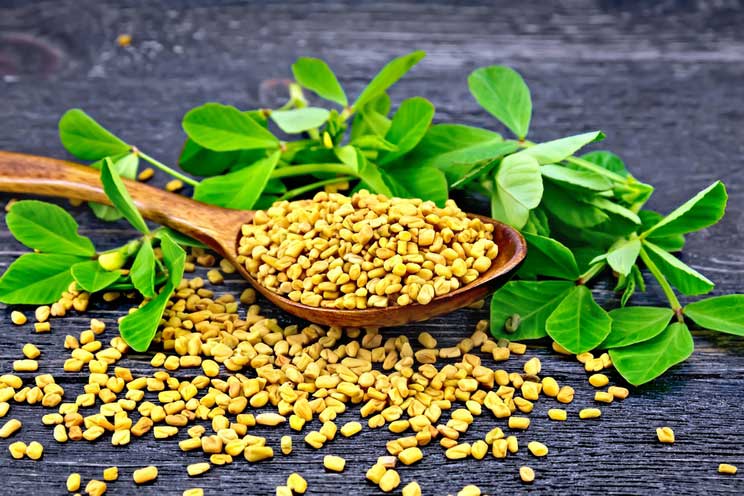 Fenugreek-seeds.jpg