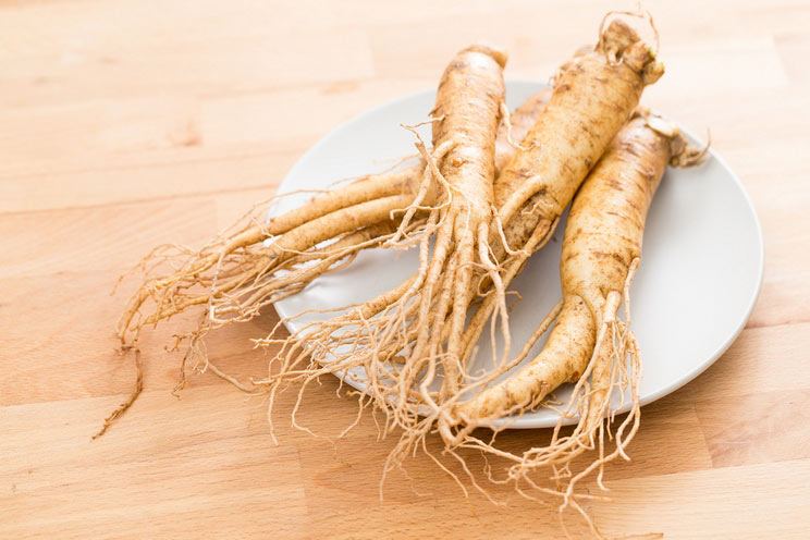 Ginseng.jpg