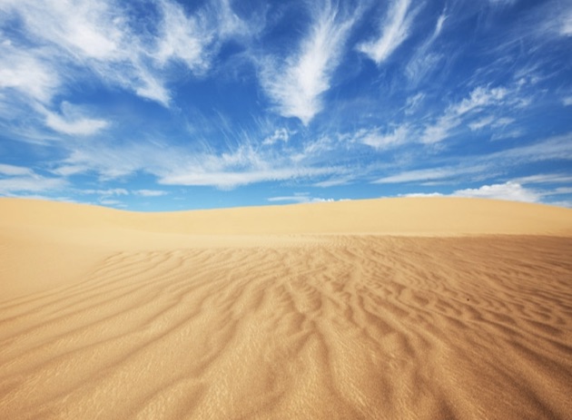 ãã´ãç æ¼ ãã®ç»åæ¤ç´¢çµæ