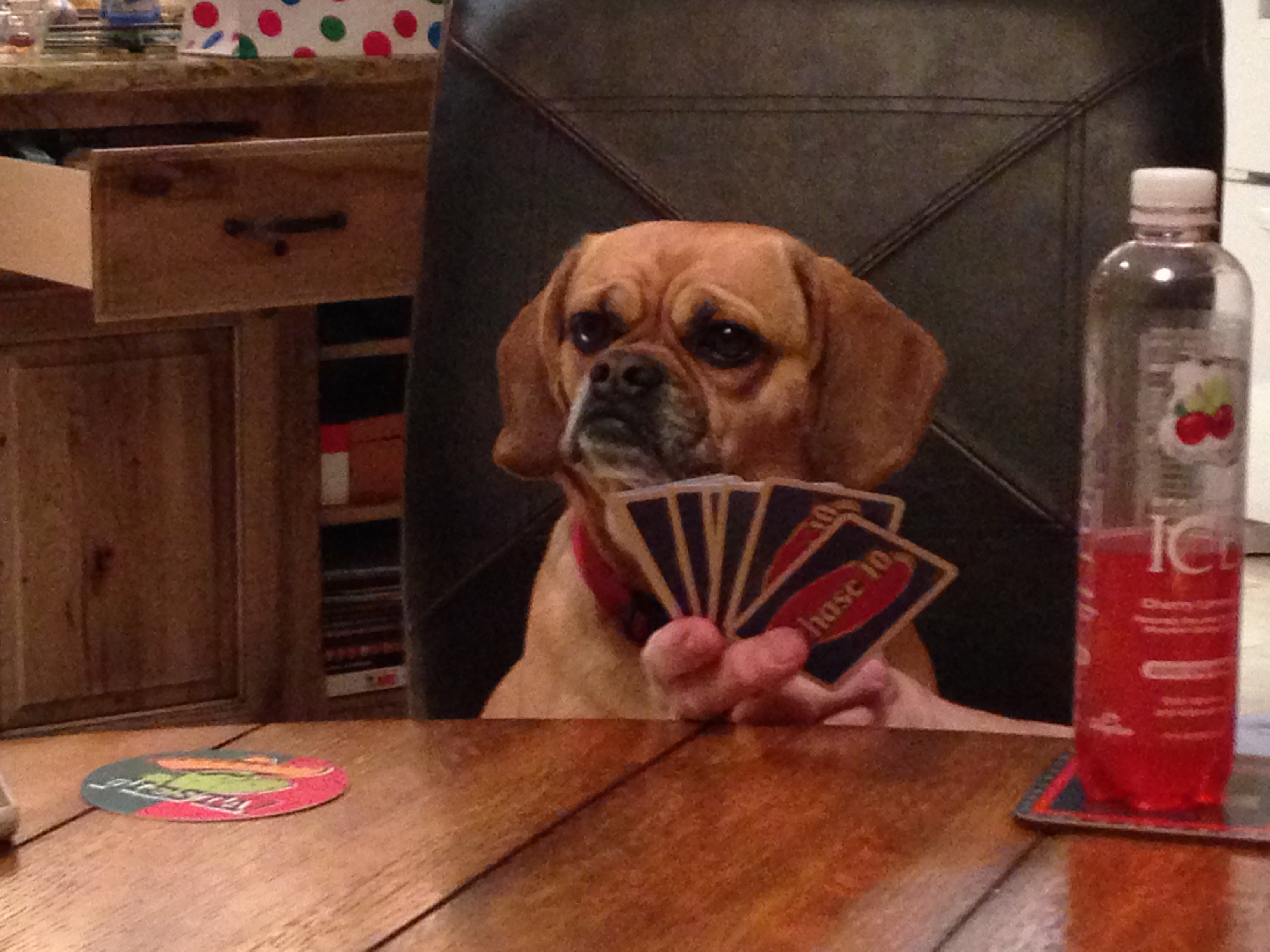 IMG_1079 (1)_JudyCastle.JPG