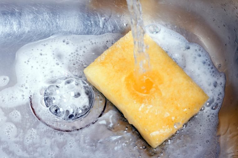 Old-Sponges-Are-Gross-But-Heres-Why-You-Shouldnt-Throw-Them-Out-152923700-correct-pictures