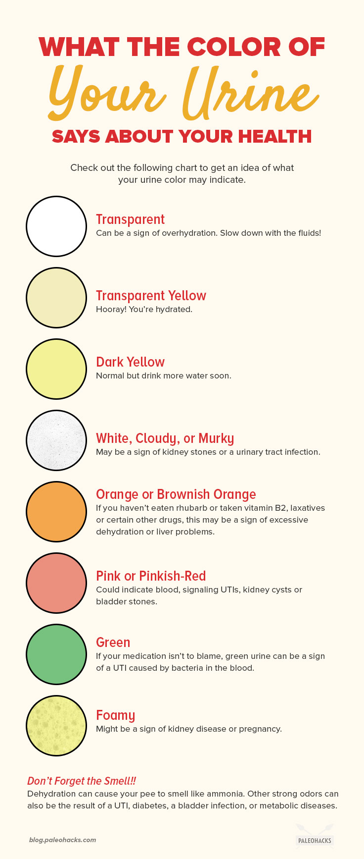 What The Color of Your Urine Says About Your Health - Small Joys