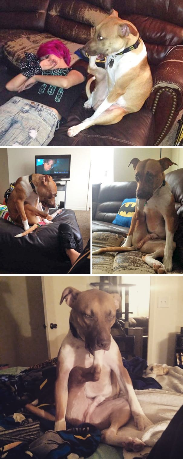 itsjustjollyranchers