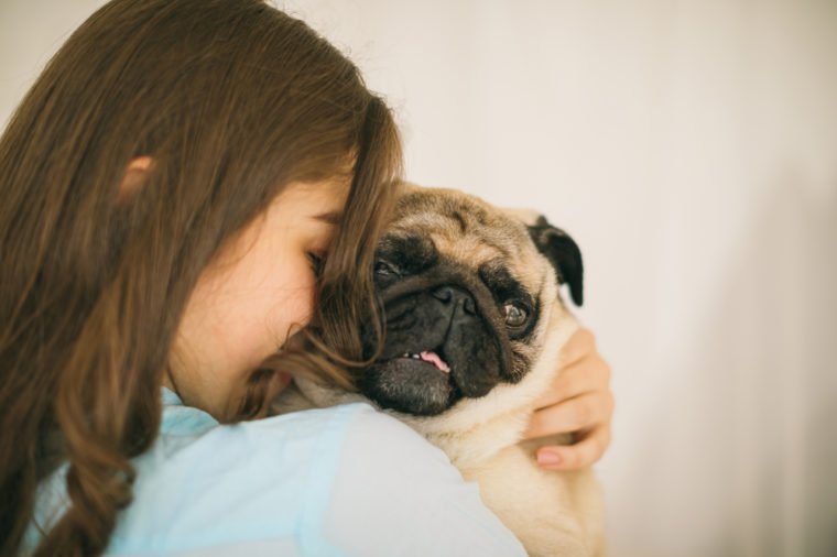 Adorable small dog. Human love and trust