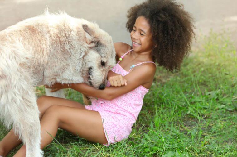 Cute African American girl playing with dog in park