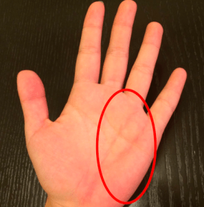 ã太é½ç·ãã®ç»åæ¤ç´¢çµæ