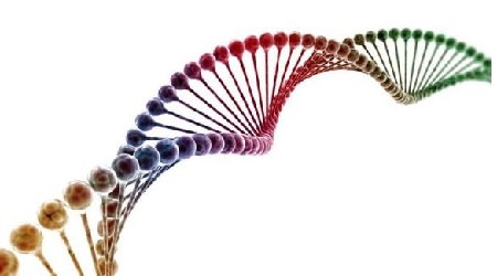 Mtrréºä¼å­ì ëí ì´ë¯¸ì§ ê²ìê²°ê³¼