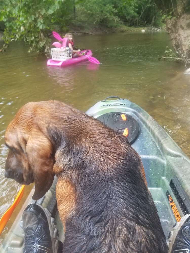 Father And Young Daughter Got Attacked By Rabid Beaver While Kayaking ...