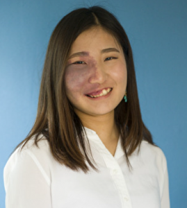 Image result for å½©ãã é¡ã®ãã