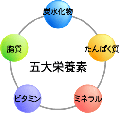 äºå¤§æ é¤ç´ ì ëí ì´ë¯¸ì§ ê²ìê²°ê³¼