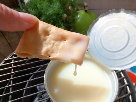 ã³ã³ãã³ã¹ãã«ã¯ãã©ã³ãã¥ãBBQì ëí ì´ë¯¸ì§ ê²ìê²°ê³¼