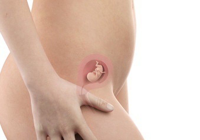 å¦å¨ ì ëí ì´ë¯¸ì§ ê²ìê²°ê³¼