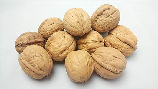 ãããã¿ãã®ç»åæ¤ç´¢çµæ