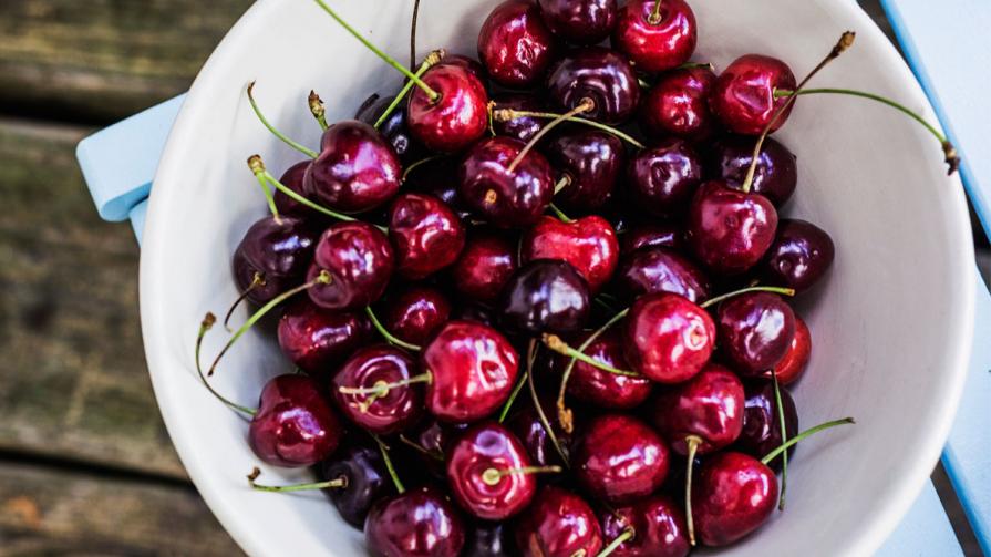 ãã¿ã«ããã§ãªã¼ã¸ã¥ã¼ã¹ãã®ç»åæ¤ç´¢çµæ