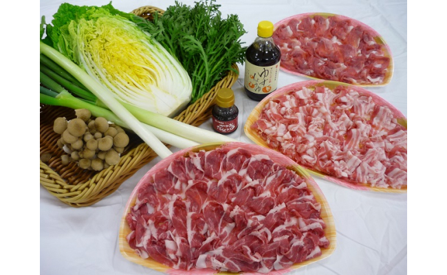 å³¶æ ¹çæ±æ´¥å¸ã®ãã¾ãå§«ãã¼ã¯ããã¶ããã¶èã¨ãµã³ãã³ããã¤ã®æ¬éèã»ãããì ëí ì´ë¯¸ì§ ê²ìê²°ê³¼