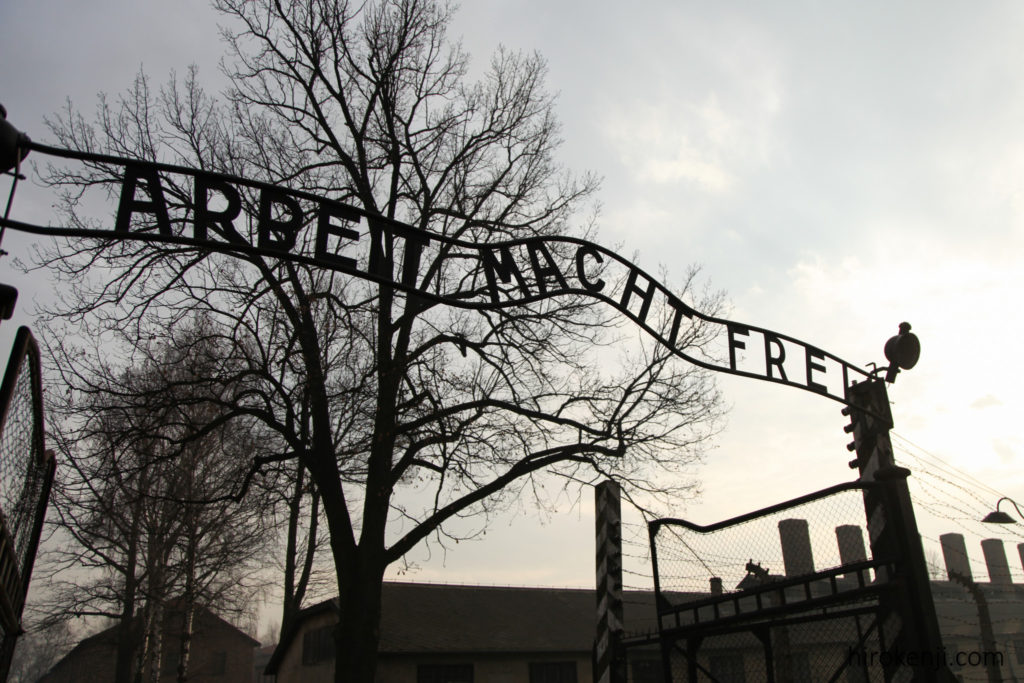 é¢é£ç»å