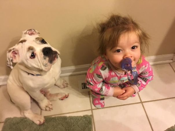 My Puppy And My Baby Girl Fight Over Who
