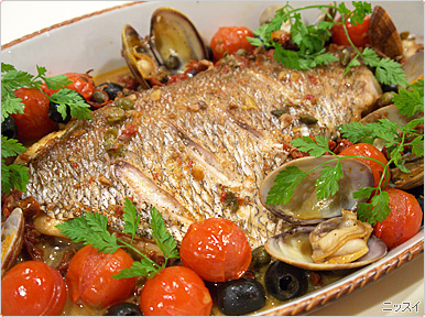 ã¢ã¯ã¢ãããã¡ì ëí ì´ë¯¸ì§ ê²ìê²°ê³¼