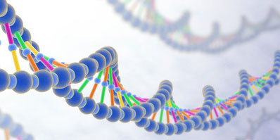 éºä¼å­ì ëí ì´ë¯¸ì§ ê²ìê²°ê³¼