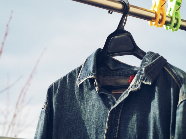 å¤å¹²ãã®æ´æ¿¯ç©ì ëí ì´ë¯¸ì§ ê²ìê²°ê³¼