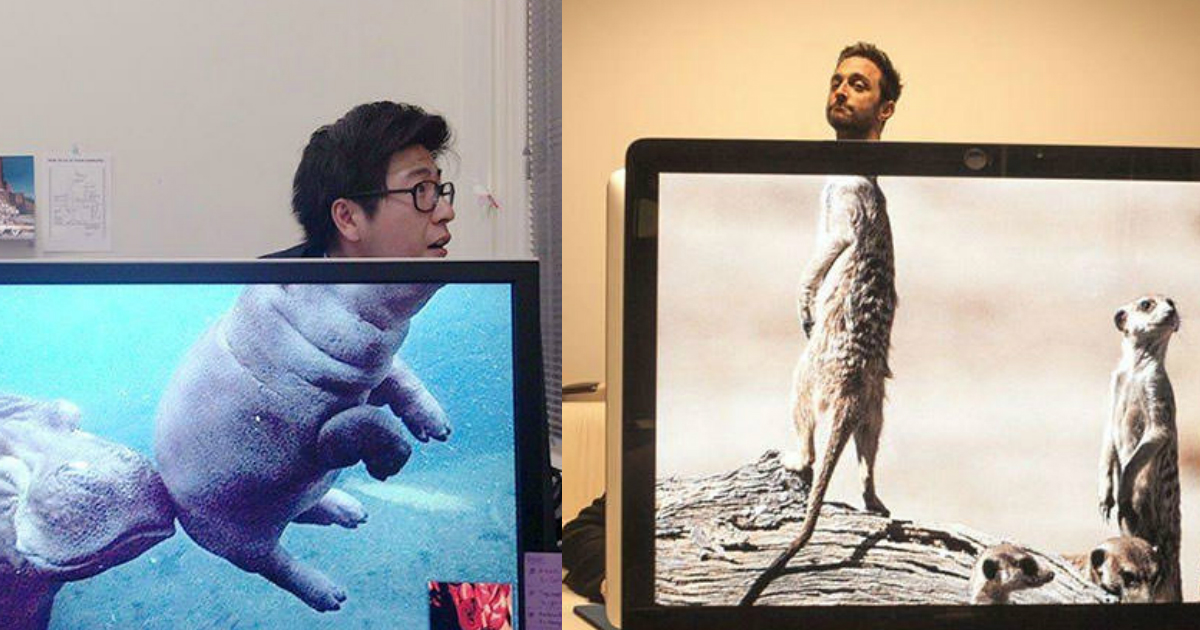 50 Hilariously Genius Desktop Wallpapers That Will Make You Laugh Images, Photos, Reviews