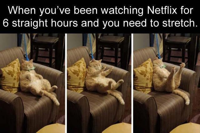 Funny meme about watching Netflix too long and needing to stretch with a fat cat stretching