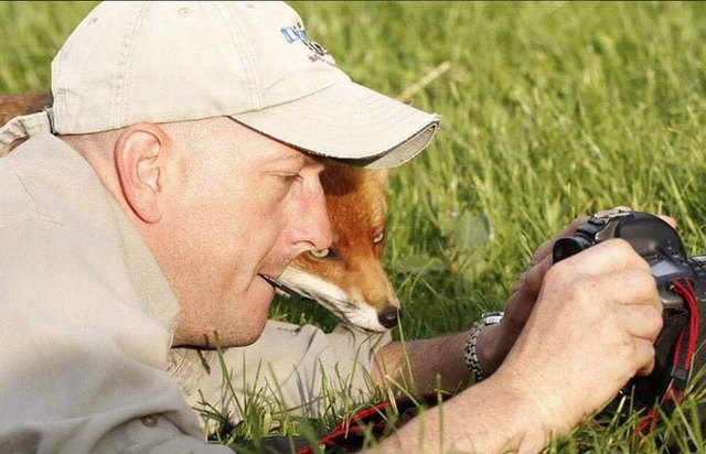 Animals interrupting wildlife photographers is our new favorite thing