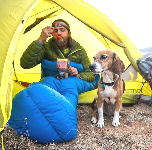 23 dogs living their best life as camping rock stars